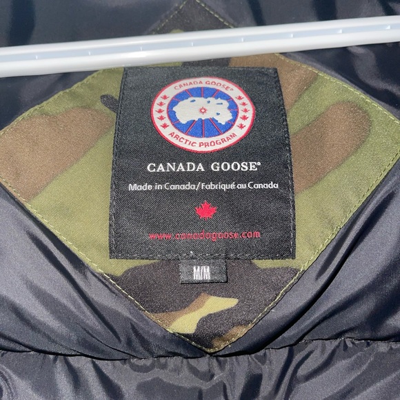 Canada goose - Picture 5 of 7